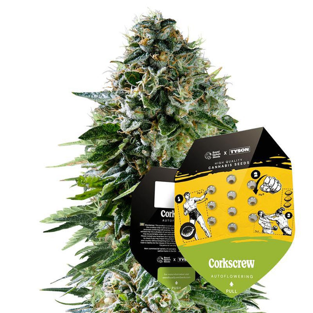 Tyson Seeds - Corkscrew Autoflower 3er Pack