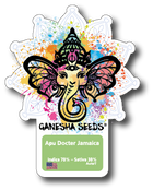 Ganesha Seeds - Apu Doctor Jamaica Autoflower 3er Pack