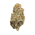 Ganesha Seeds - Deva Double Critical Feminisiert 3er Pack