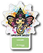 Ganesha Seeds - Lowryder Autoflower 3er Pack