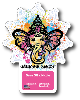 Ganesha Seeds - Deva OG x Nicole Feminisiert 3er Pack
