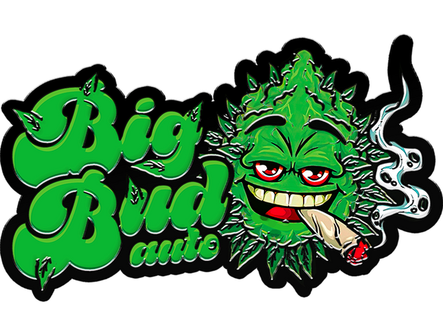 Fast Buds - Original Big Bud (Autoflower)