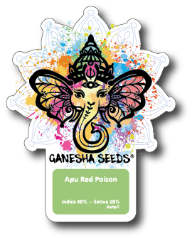 Ganesha Seeds - Apu Red Poison Autoflower 3er Pack