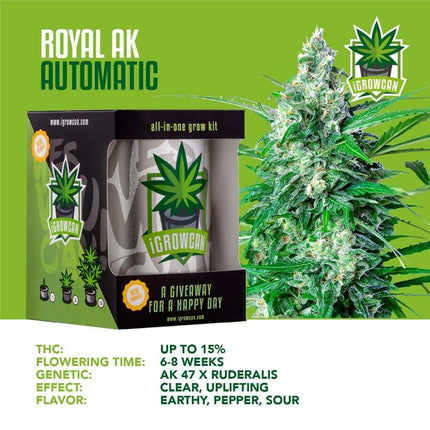 IGrowCan Autoflower Set - Royal AK