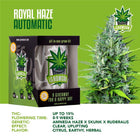 IGrowCan Autoflower Set - Royal Haze