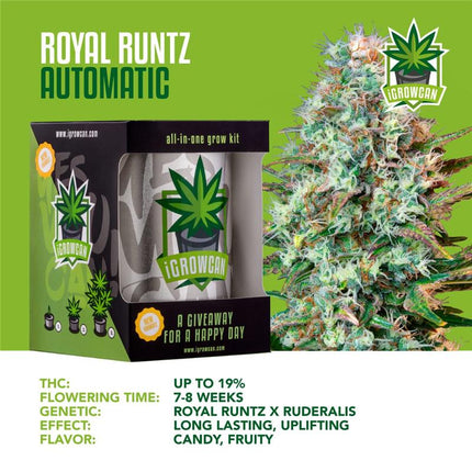 IGrowCan Autoflower Set - Royal Runtz