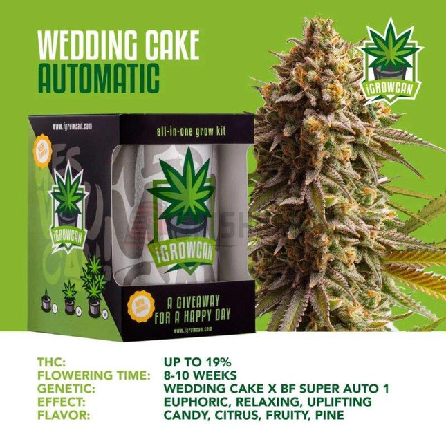 IGrowCan Autoflower Set - Wedding Cake