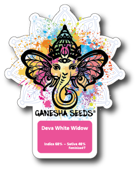 Ganesha Seeds - Deva White Widow Feminisiert 3er Pack